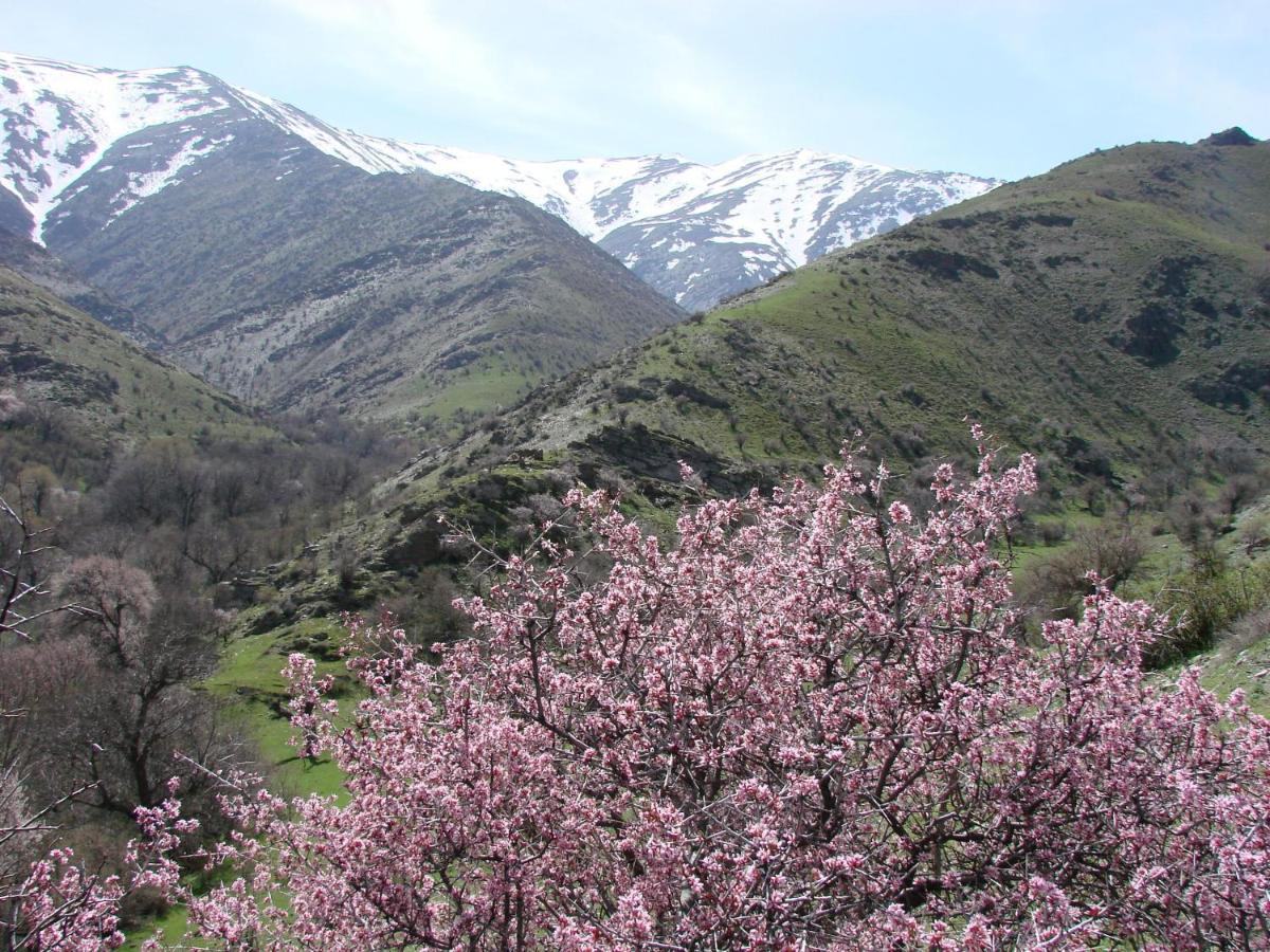 Hayat Guesthouse Nuratau Mountains Yukary-Ukhum Exteriör bild